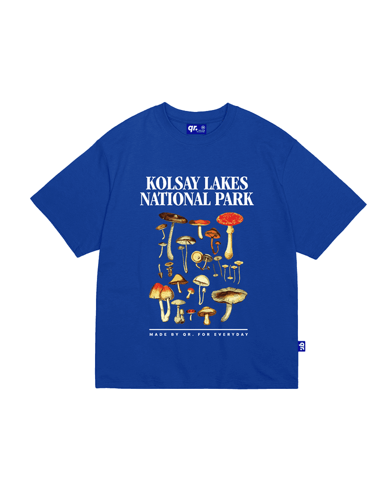 ФУТБОЛКА KÖLSAY КӨК