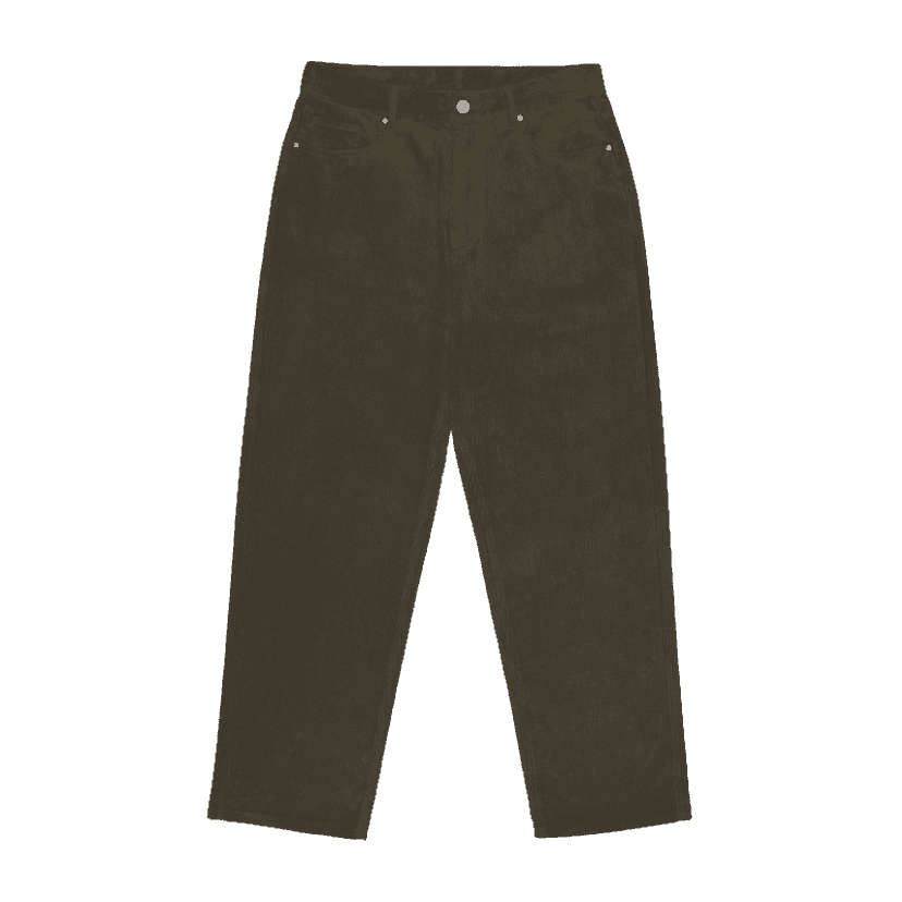 pants velvet grey-brown