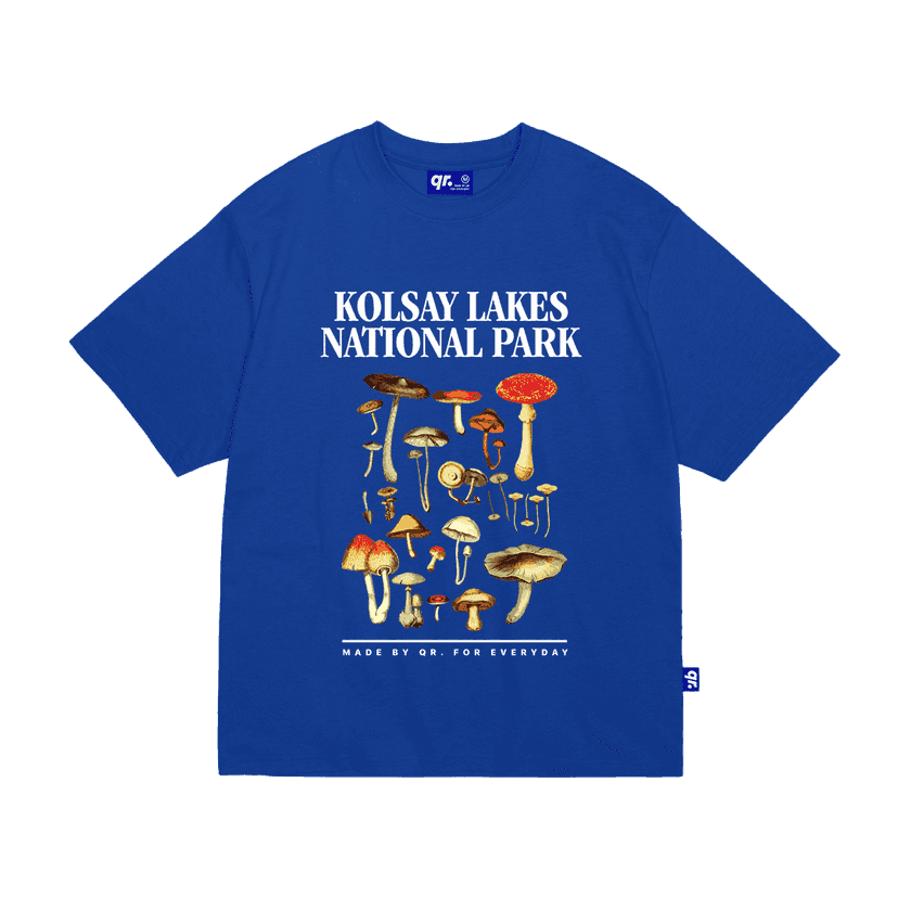 ФУТБОЛКА KÖLSAY КӨК