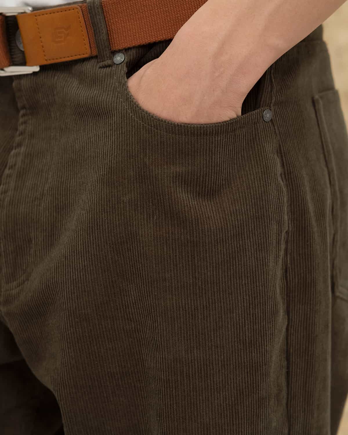 pants velvet grey-brown