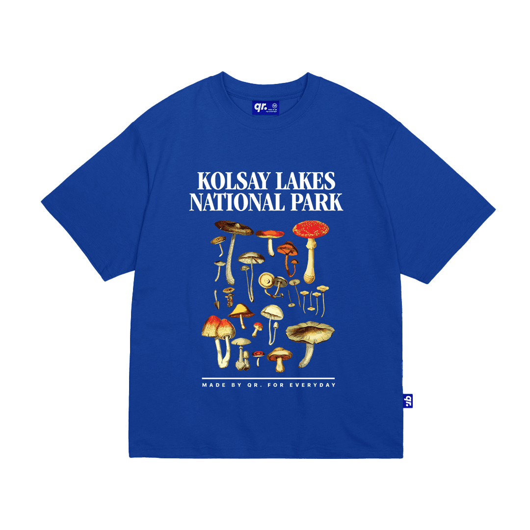 ФУТБОЛКА KOLSAY СИНЯЯ