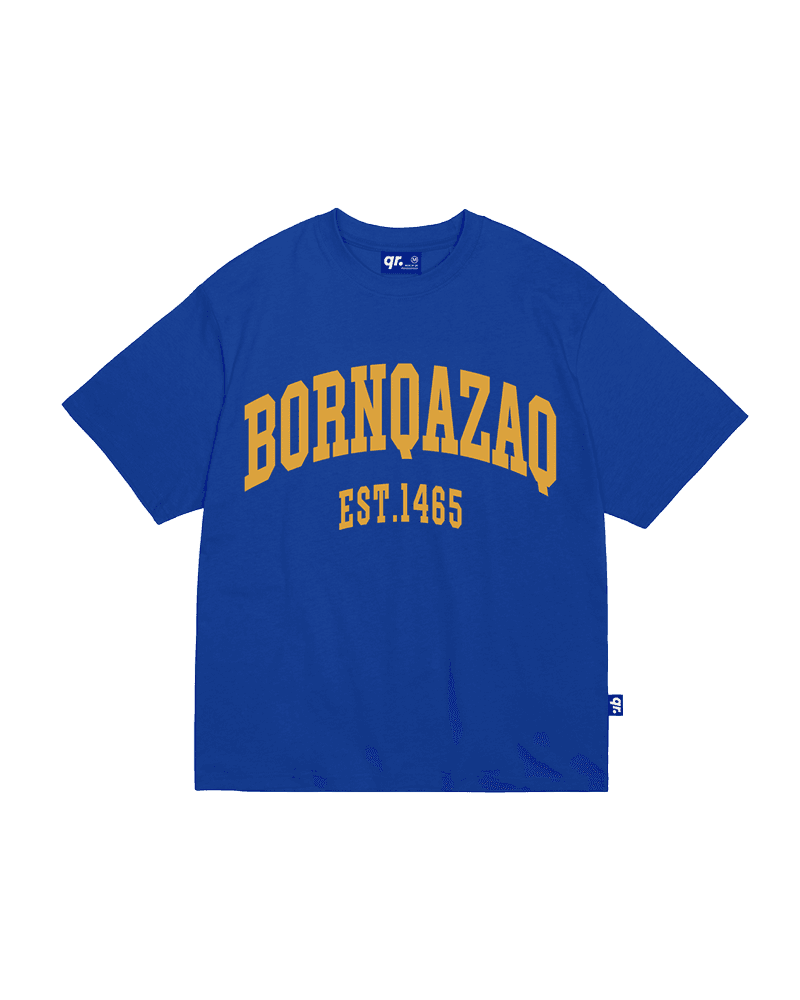 ФУТБОЛКА BQ FW25 СИНЯЯ